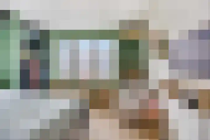 Dahliastraat 13 Ede thumbnail 29