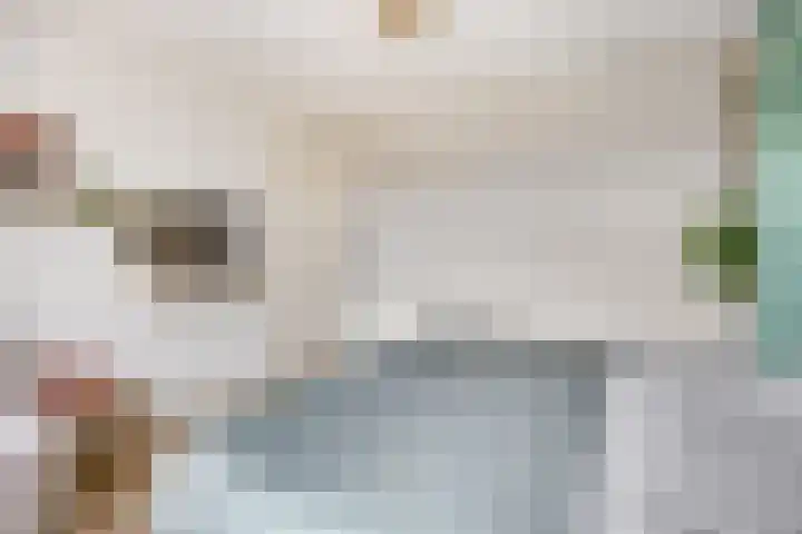 Dahliastraat 13 Ede thumbnail 30