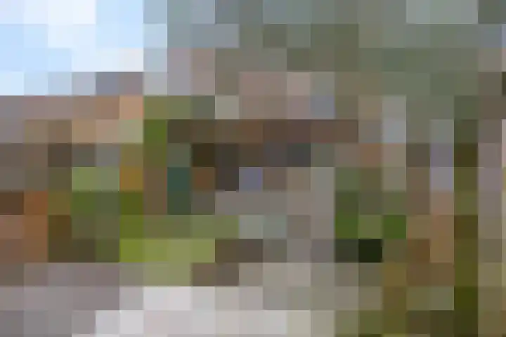 Dahliastraat 13 Ede thumbnail 49