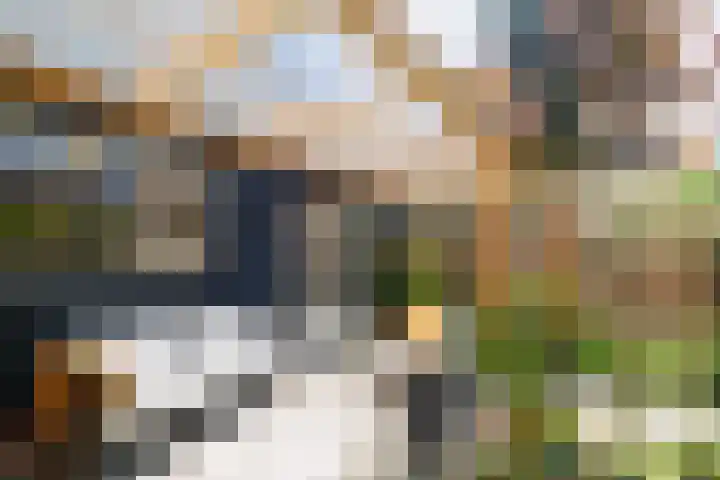 Dahliastraat 13 Ede thumbnail 59