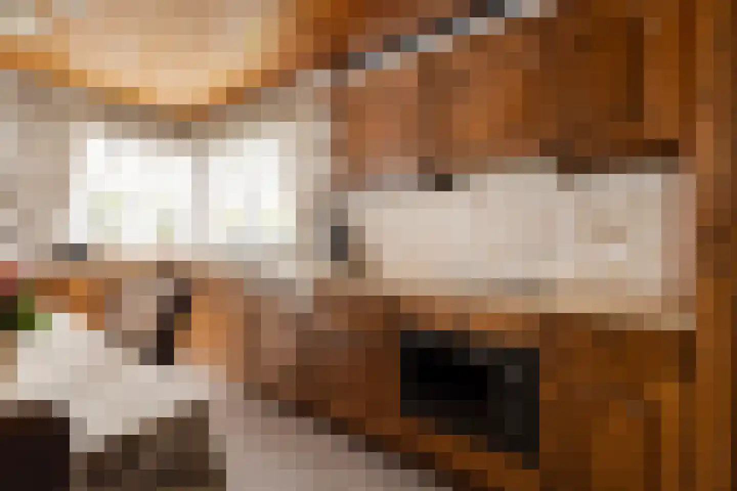 Dahliastraat 13 St. Willebrord thumbnail 10