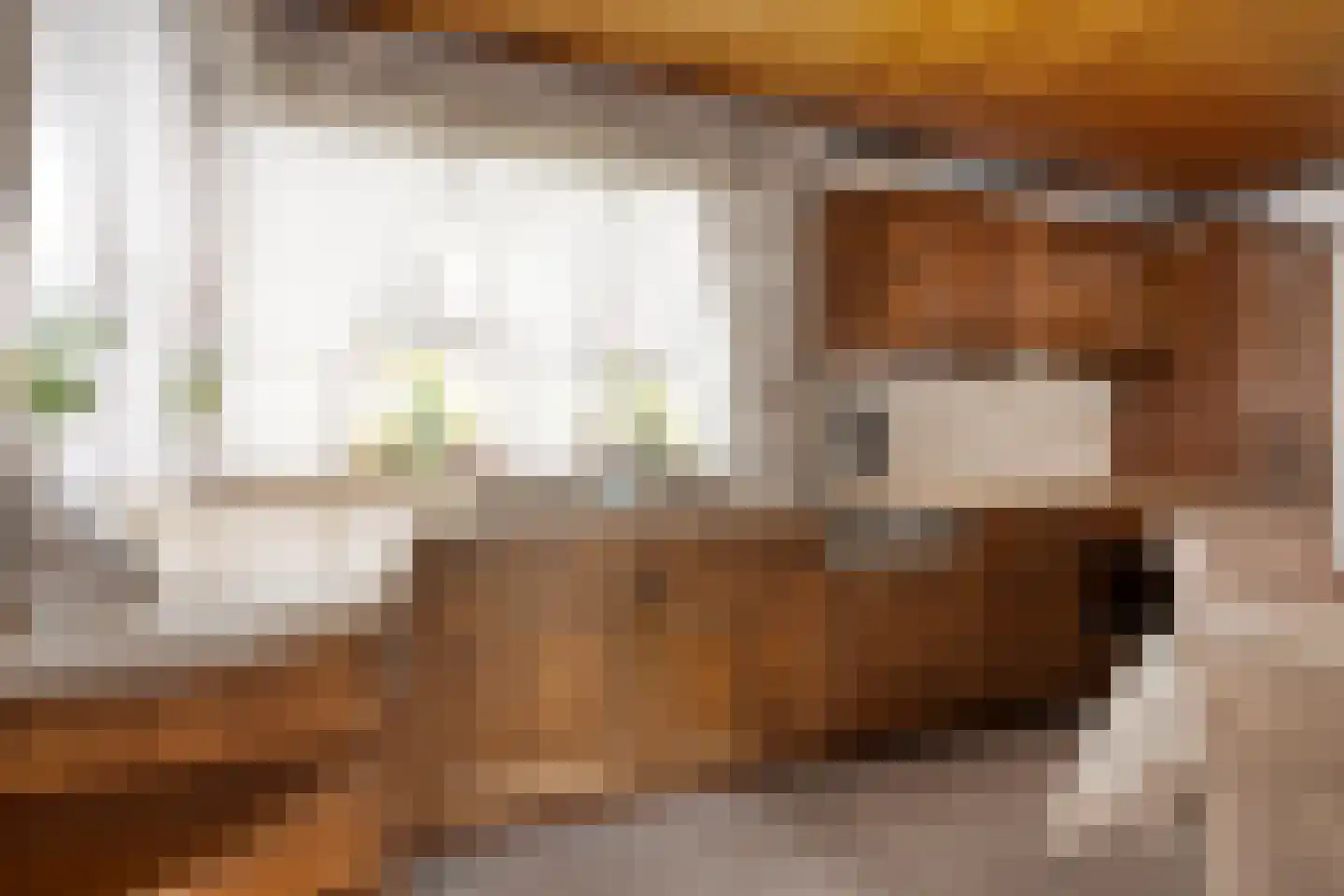 Dahliastraat 13 St. Willebrord thumbnail 11