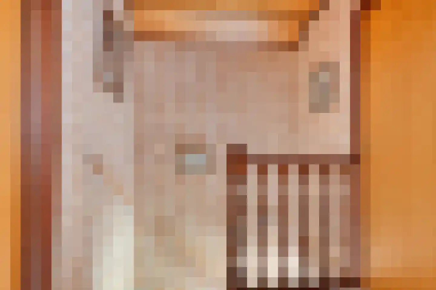 Dahliastraat 13 St. Willebrord thumbnail 13