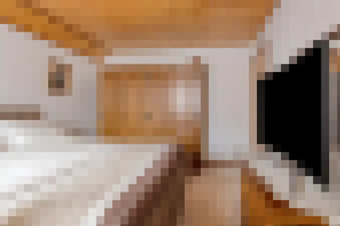 Dahliastraat 13 St. Willebrord thumbnail 15