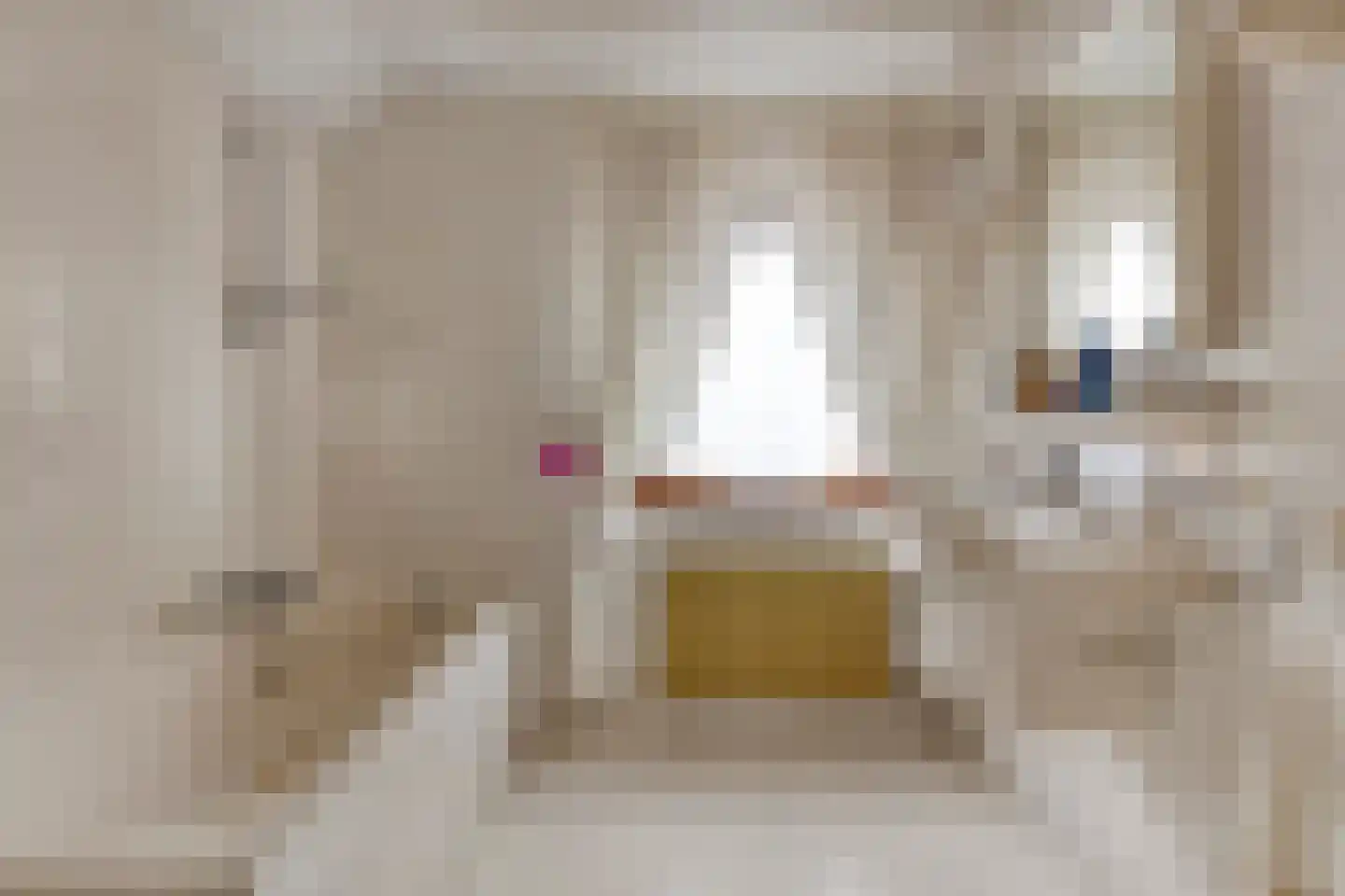 Dahliastraat 13 St. Willebrord thumbnail 16
