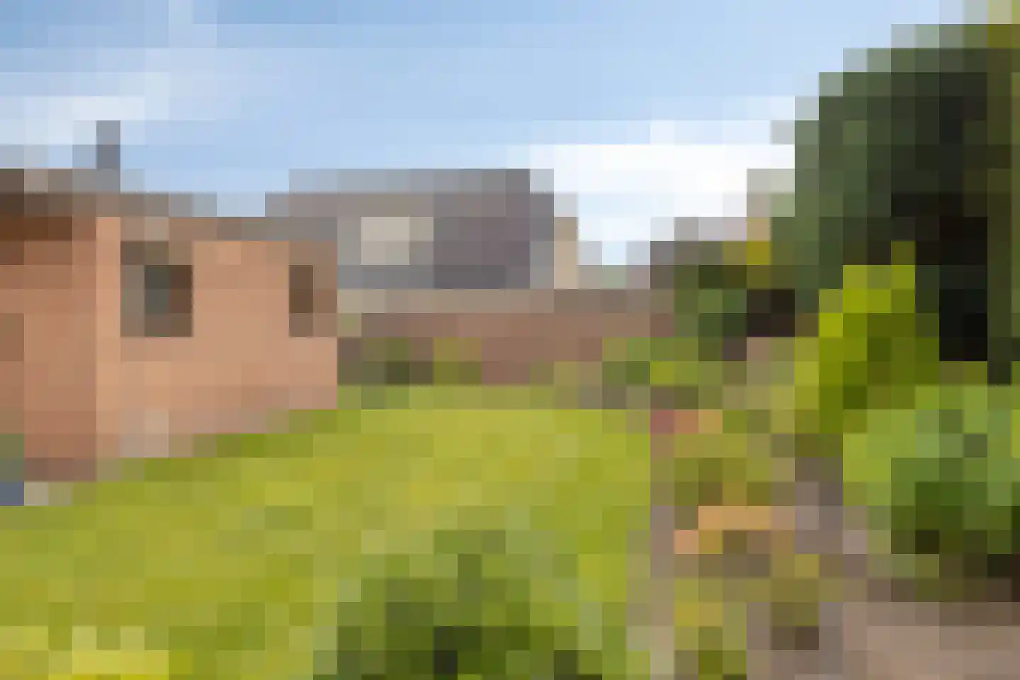 Dahliastraat 13 St. Willebrord thumbnail 22