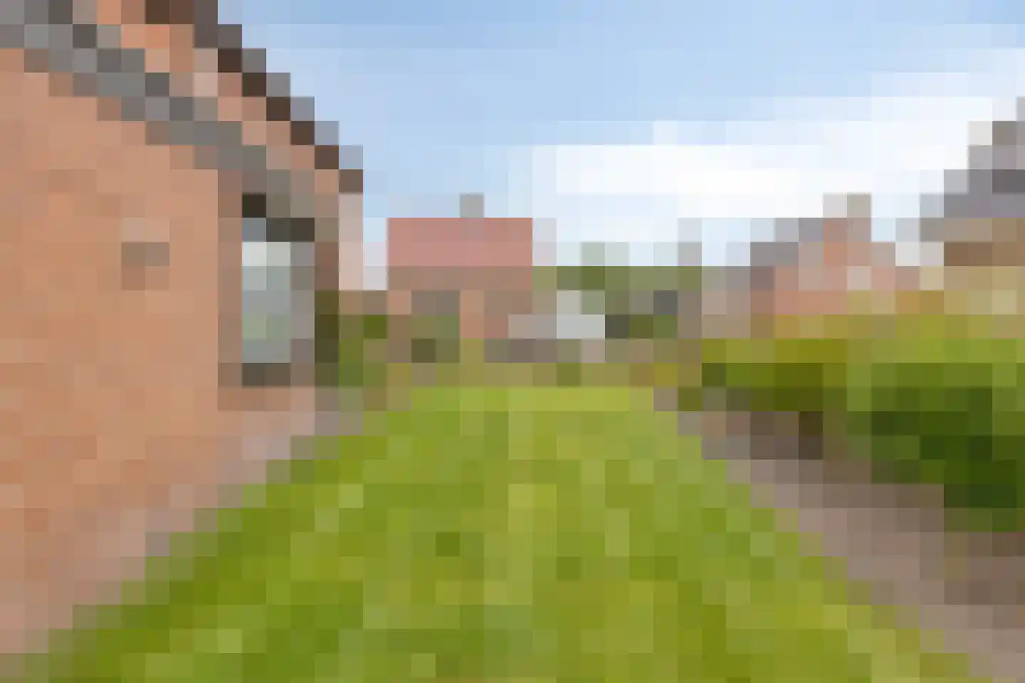 Dahliastraat 13 St. Willebrord thumbnail 23