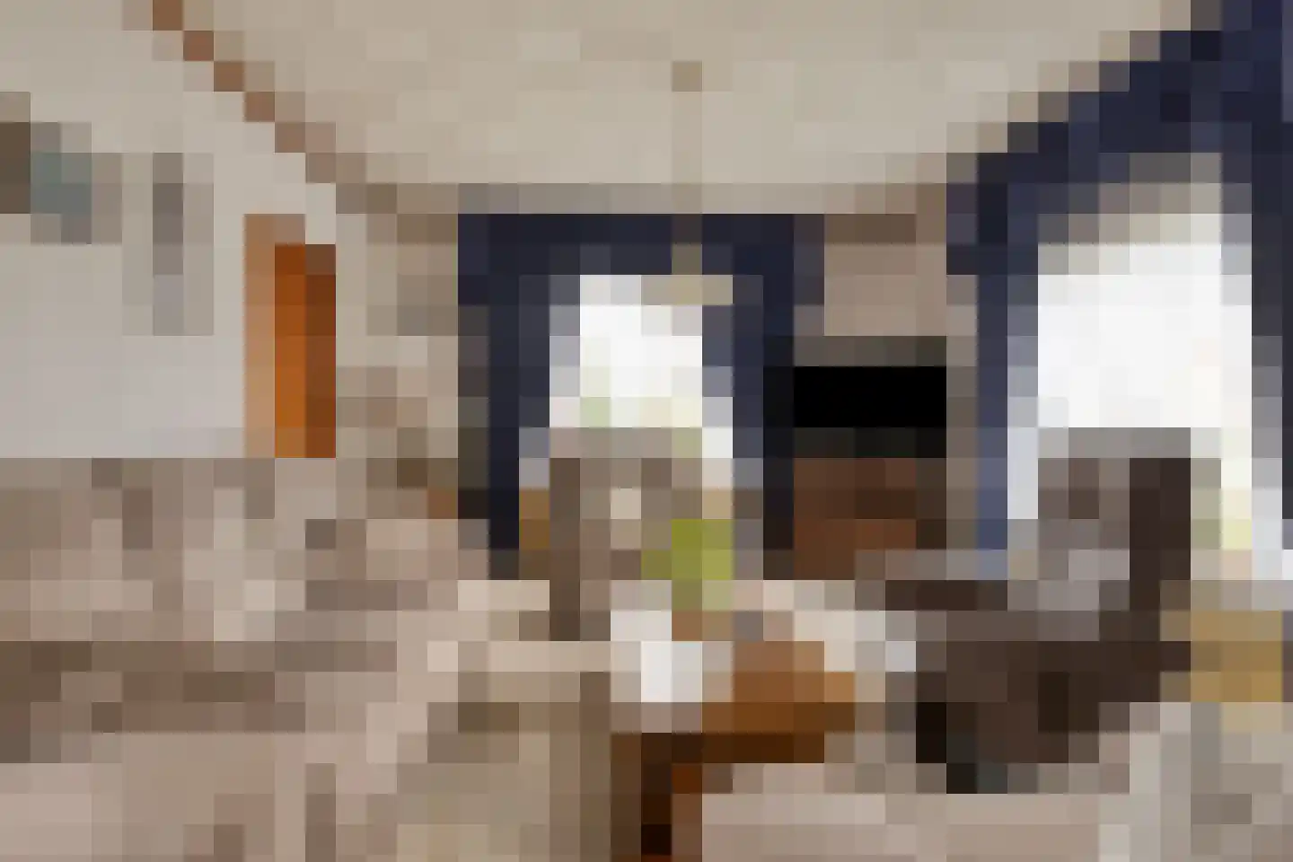 Dahliastraat 13 St. Willebrord thumbnail 4