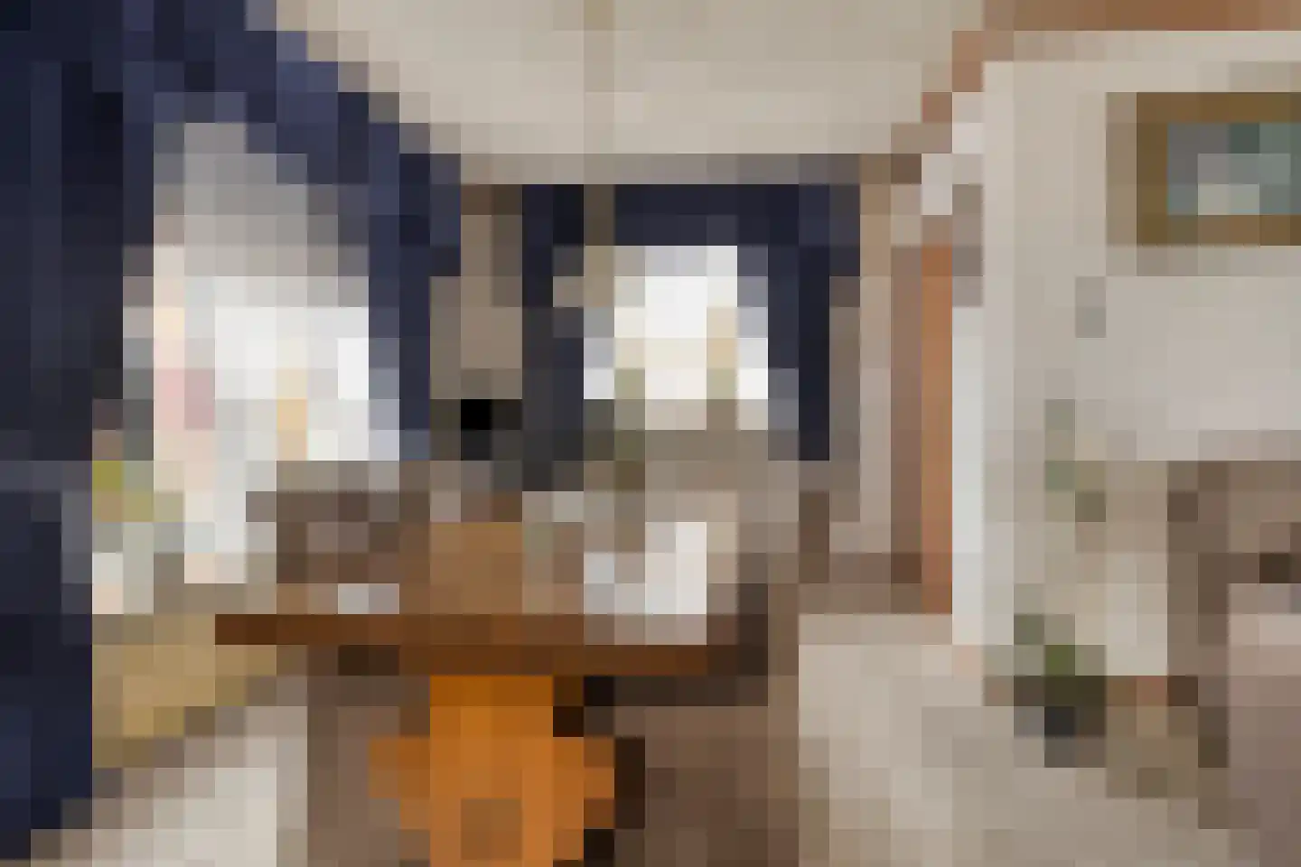 Dahliastraat 13 St. Willebrord thumbnail 5