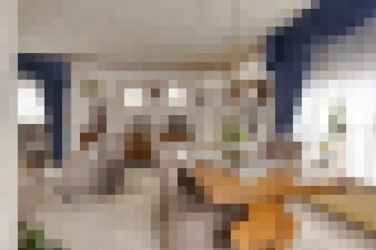 Dahliastraat 13 St. Willebrord thumbnail 6