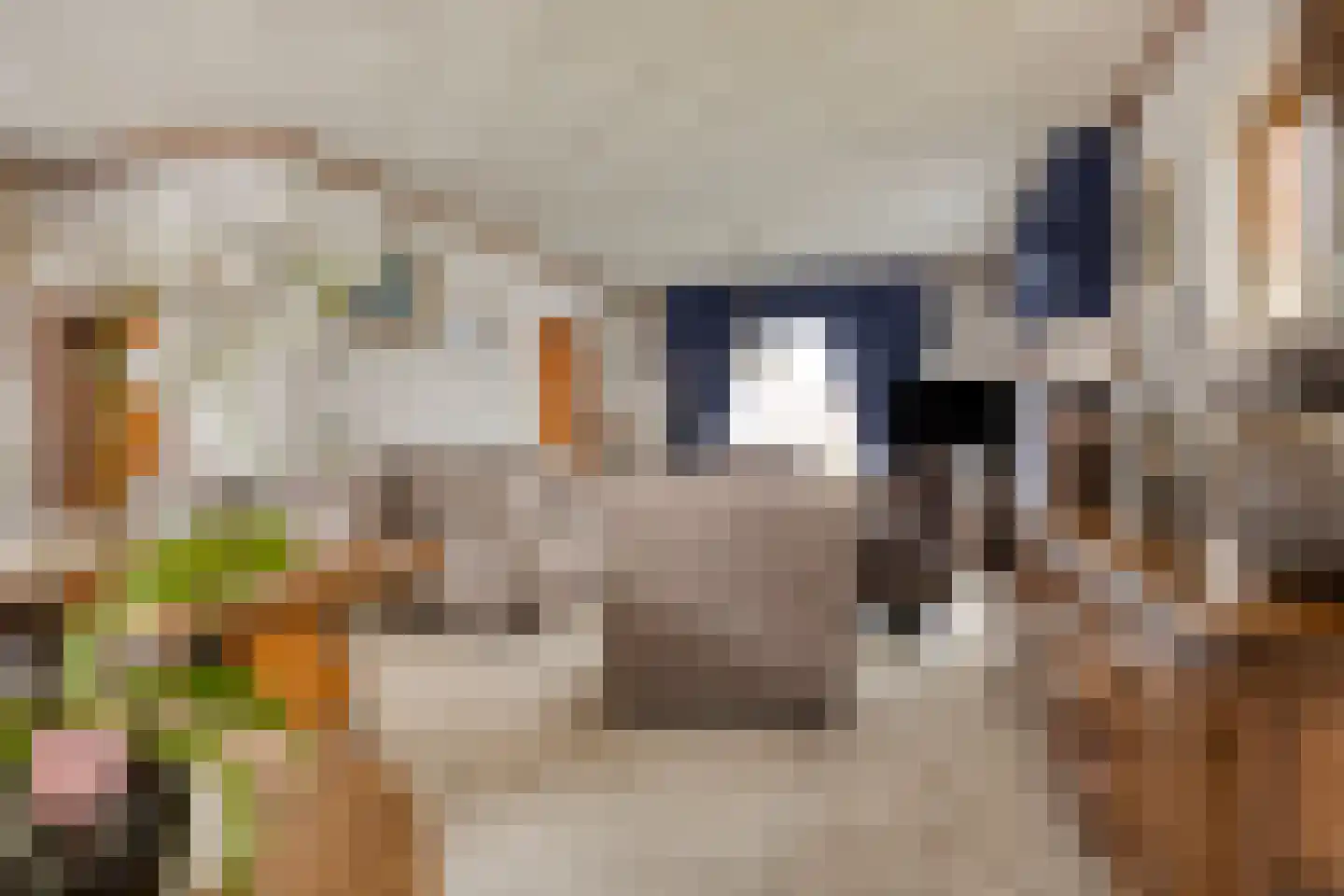 Dahliastraat 13 St. Willebrord thumbnail 7