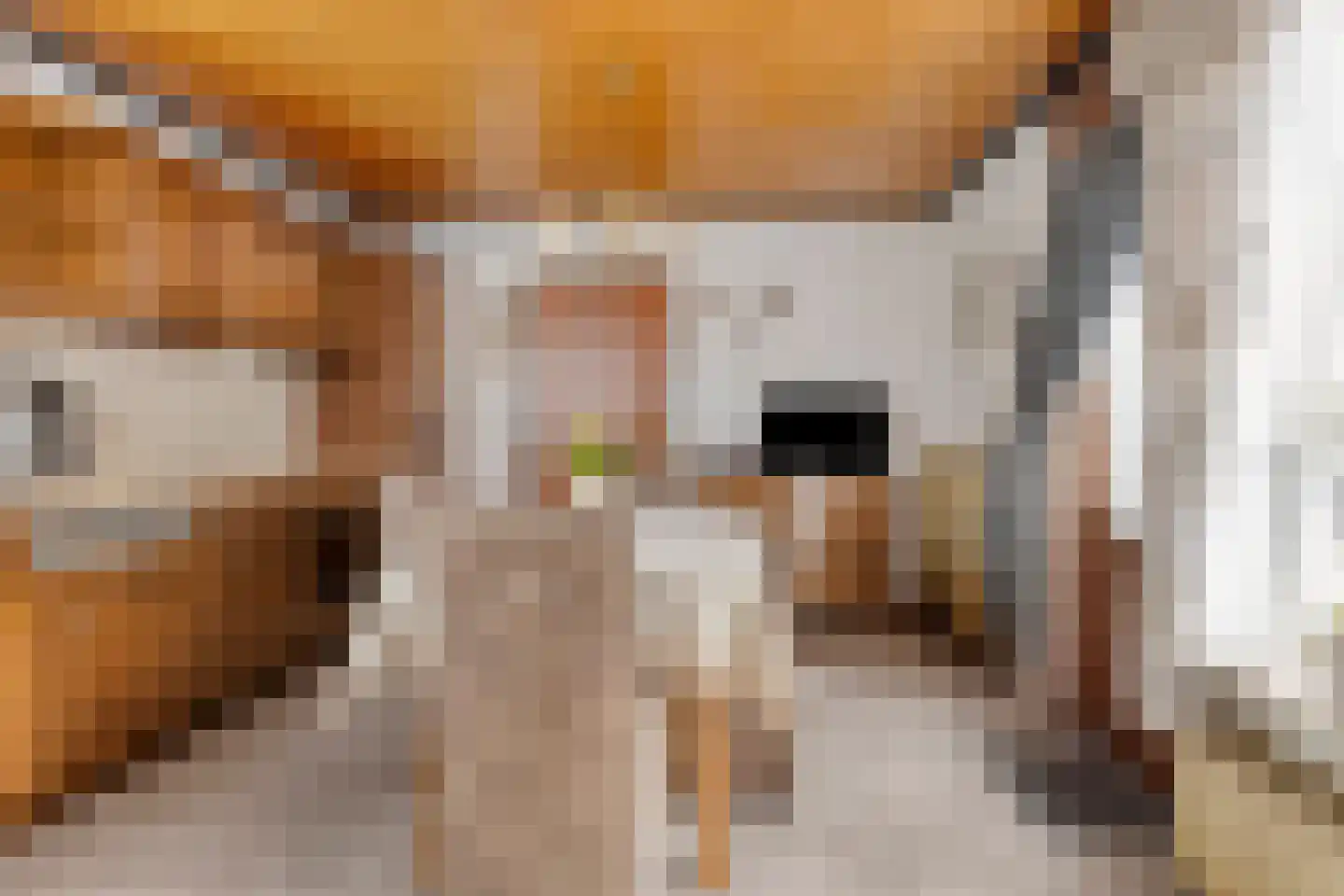 Dahliastraat 13 St. Willebrord thumbnail 8