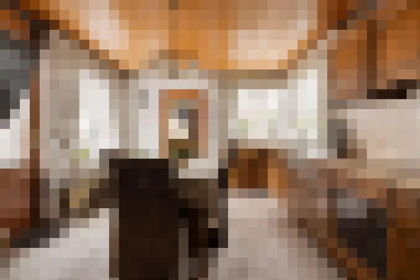 Dahliastraat 13 St. Willebrord thumbnail 9
