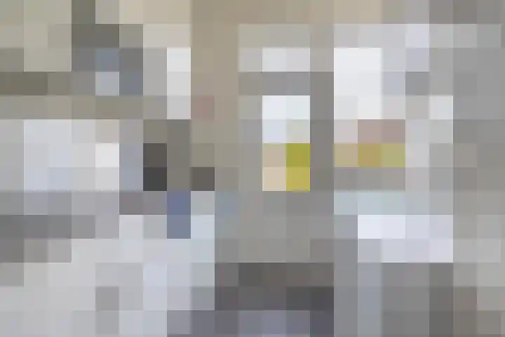 Dahliastraat 13 Winschoten thumbnail 10