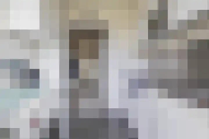 Dahliastraat 13 Winschoten thumbnail 11