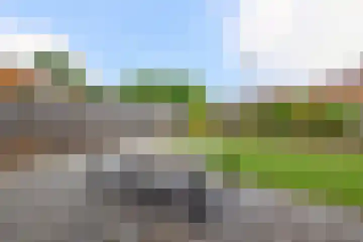 Dahliastraat 13 Winschoten thumbnail 27