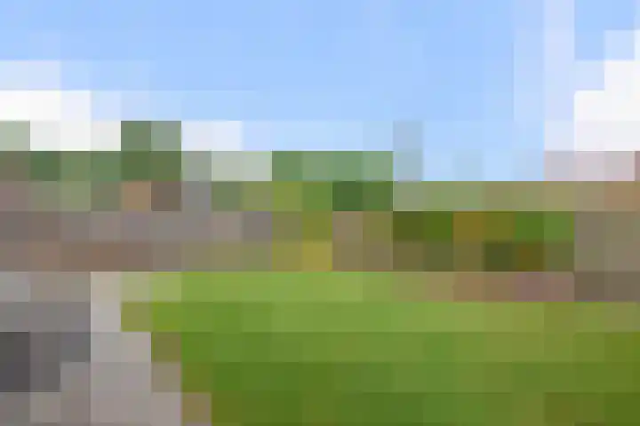 Dahliastraat 13 Winschoten thumbnail 28