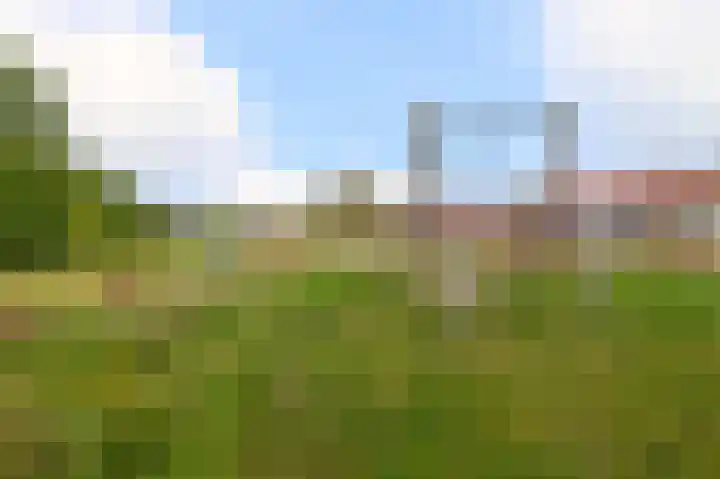 Dahliastraat 13 Winschoten thumbnail 35