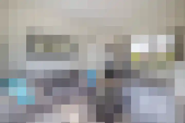 Dahliastraat 13 Winschoten thumbnail 6