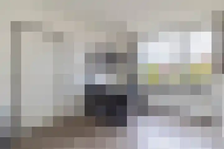 Dahliastraat 13 Winschoten thumbnail 9