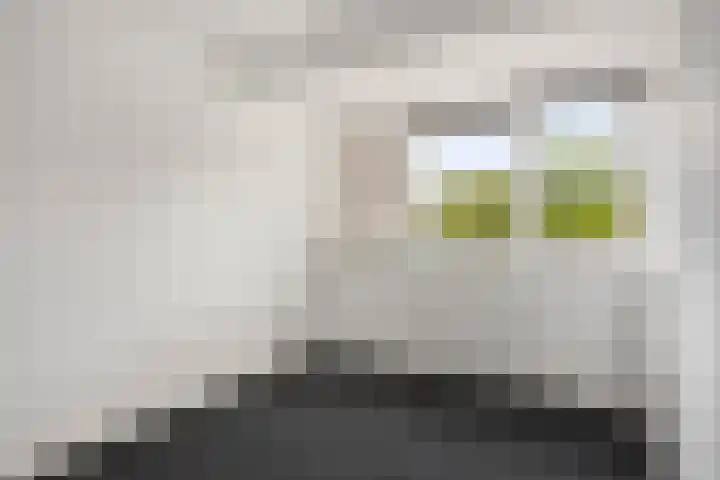 Dahliastraat 130 Den Helder thumbnail 28