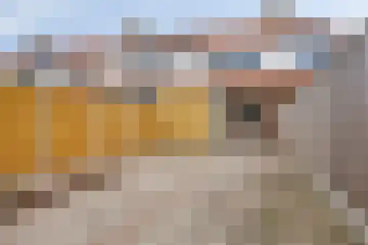 Dahliastraat 130 Den Helder thumbnail 36