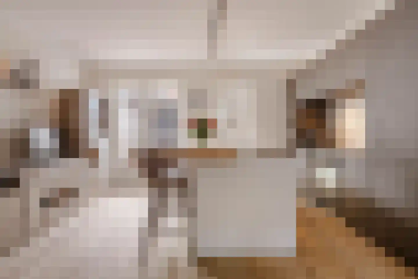 Dahliastraat 14 Huizen thumbnail 10