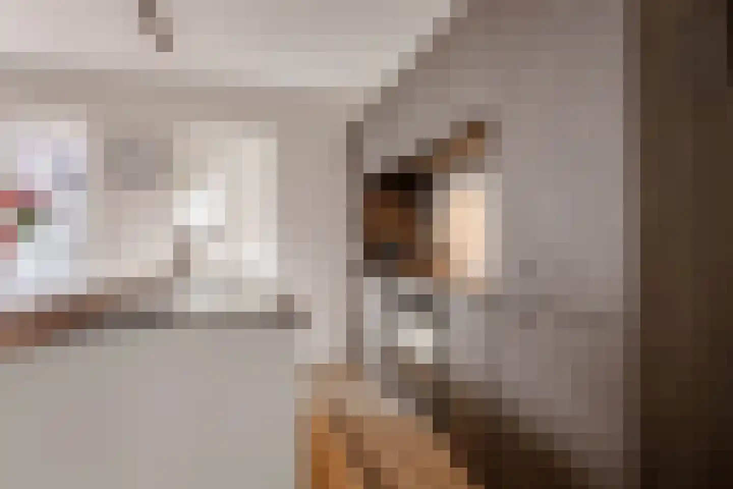 Dahliastraat 14 Huizen thumbnail 11
