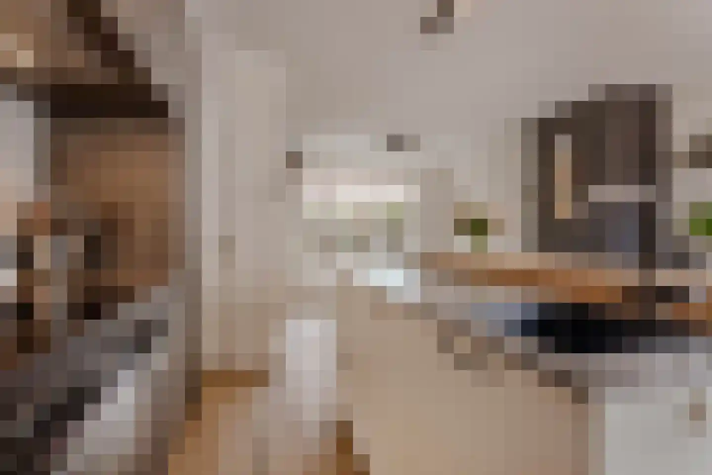 Dahliastraat 14 Huizen thumbnail 13
