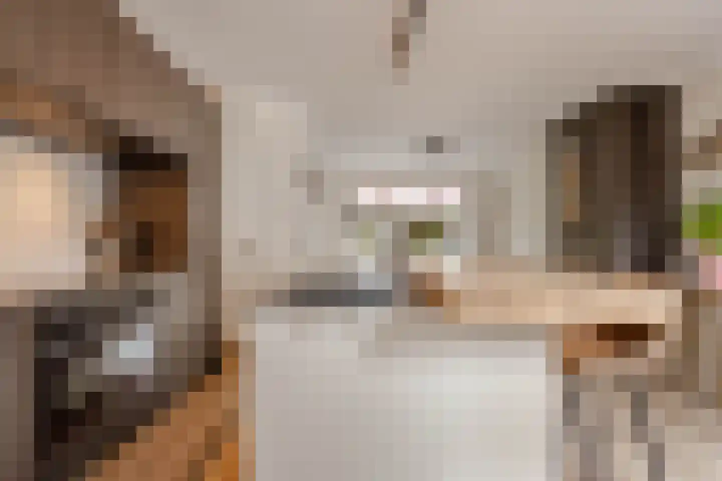 Dahliastraat 14 Huizen thumbnail 14