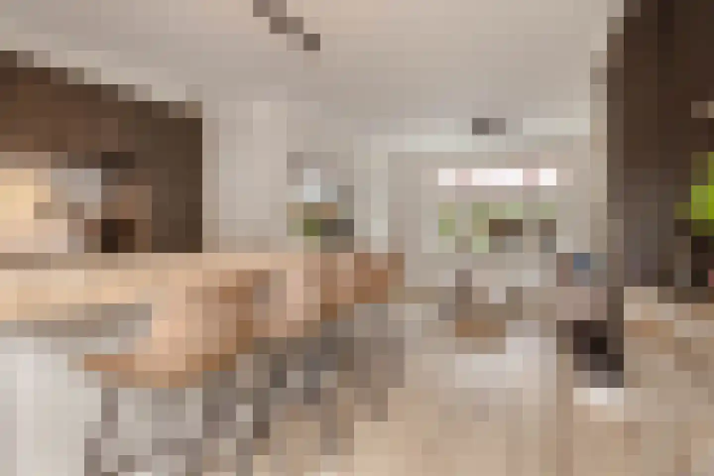 Dahliastraat 14 Huizen thumbnail 15