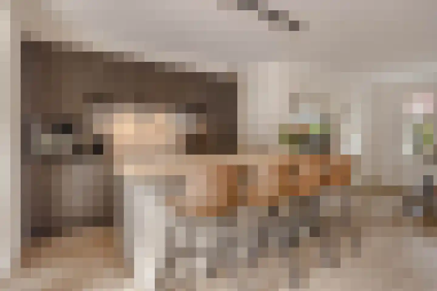 Dahliastraat 14 Huizen thumbnail 16