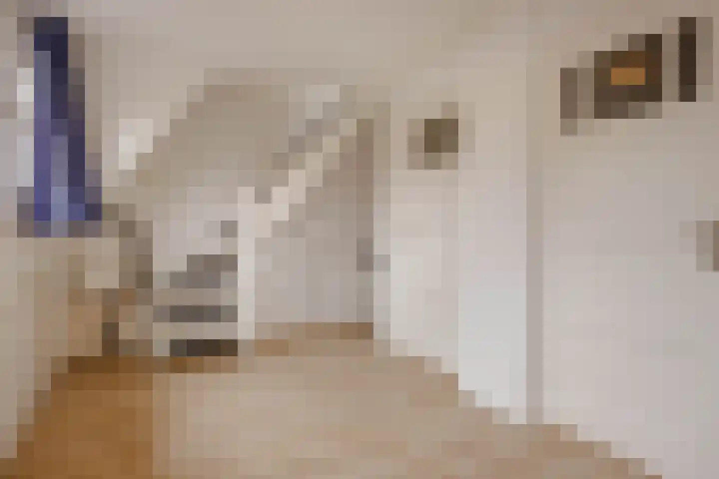 Dahliastraat 14 Huizen thumbnail 25