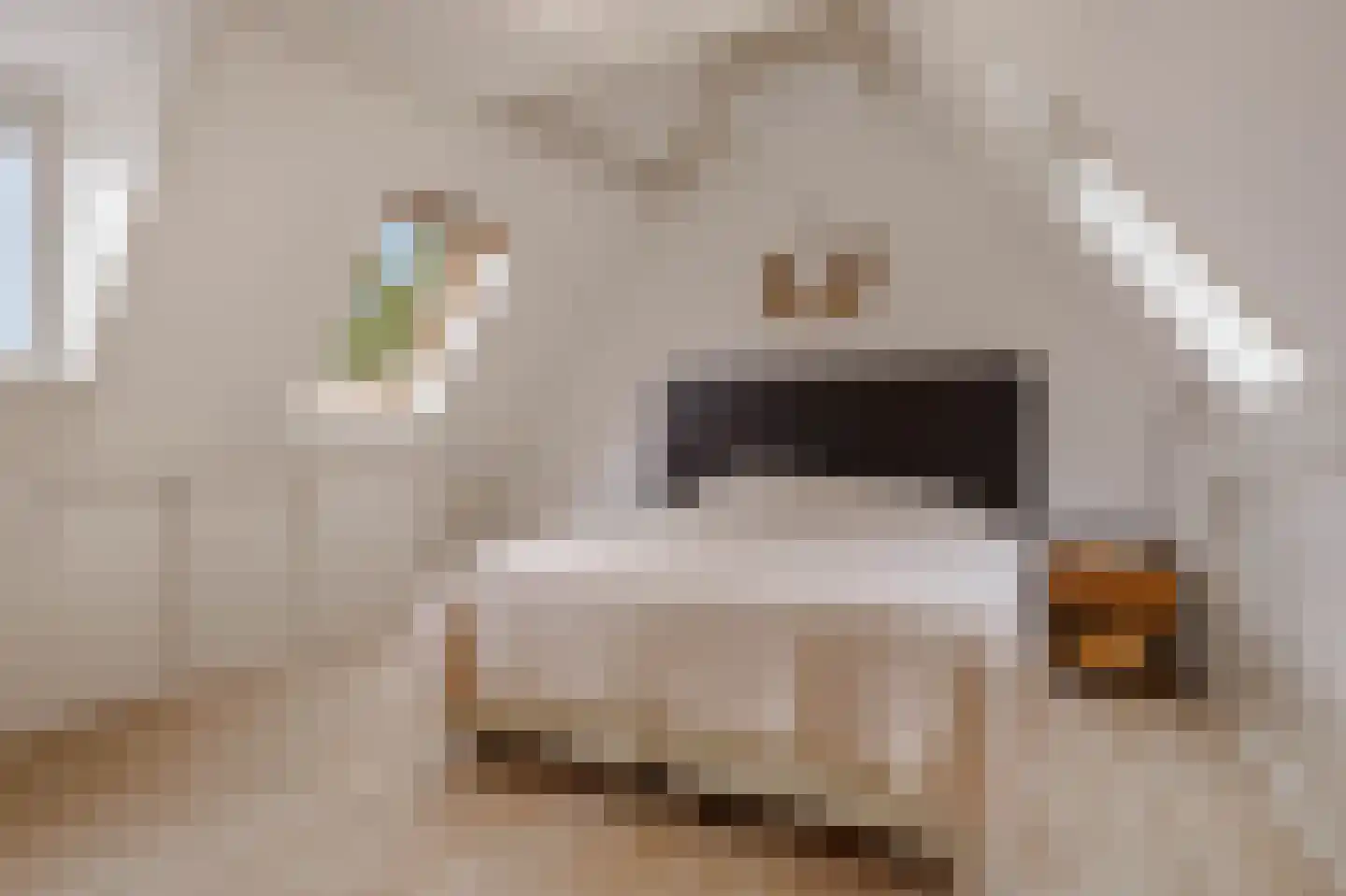 Dahliastraat 14 Huizen thumbnail 26
