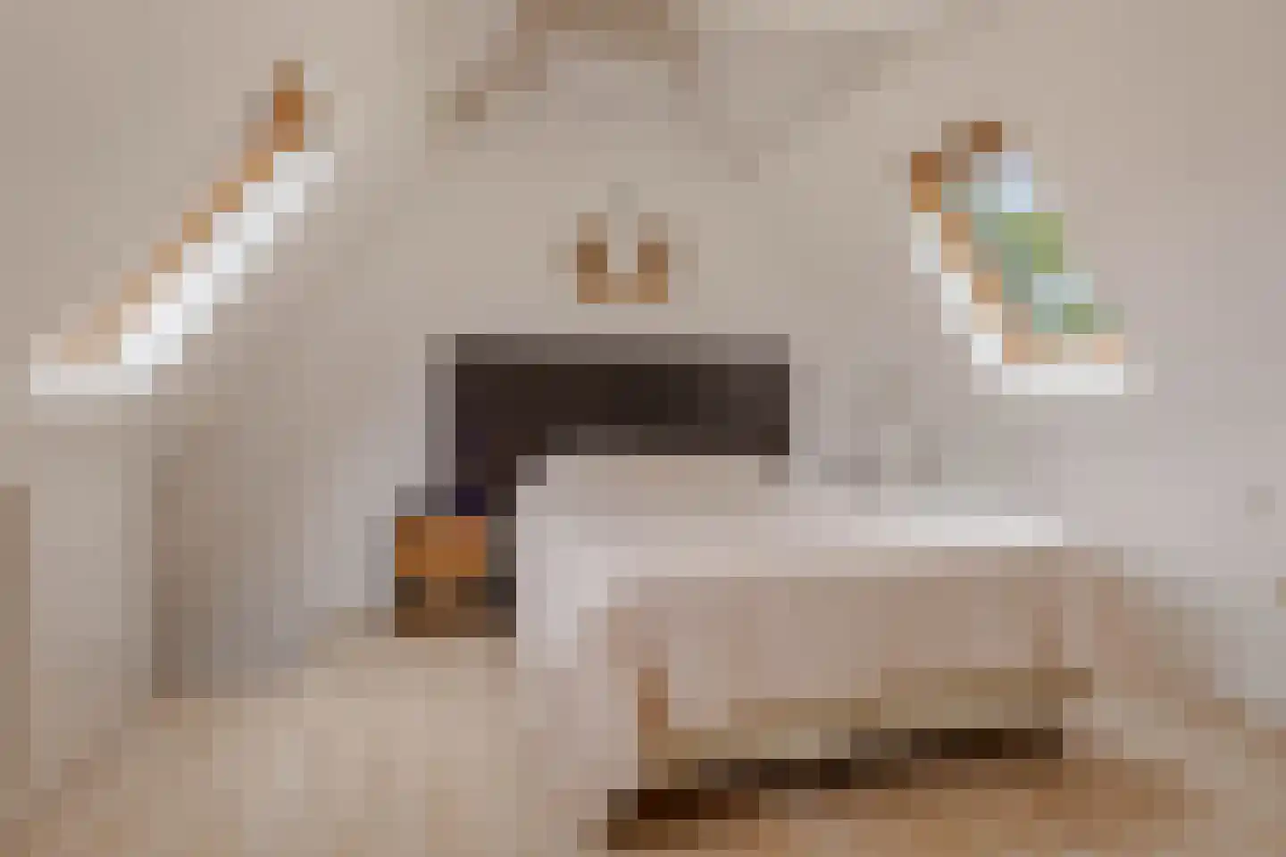 Dahliastraat 14 Huizen thumbnail 27