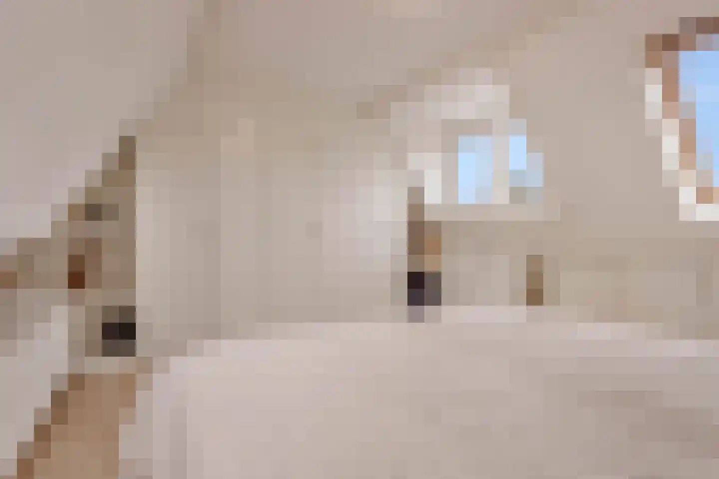 Dahliastraat 14 Huizen thumbnail 29