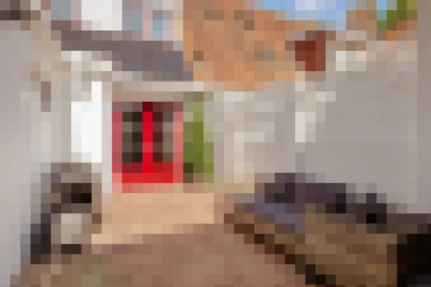 Dahliastraat 14 Huizen thumbnail 32