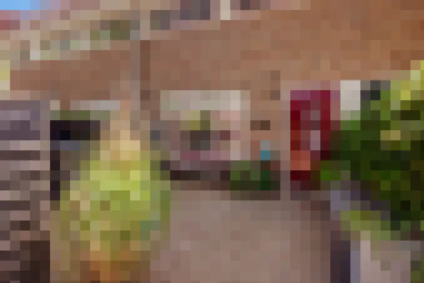 Dahliastraat 14 Huizen thumbnail 39