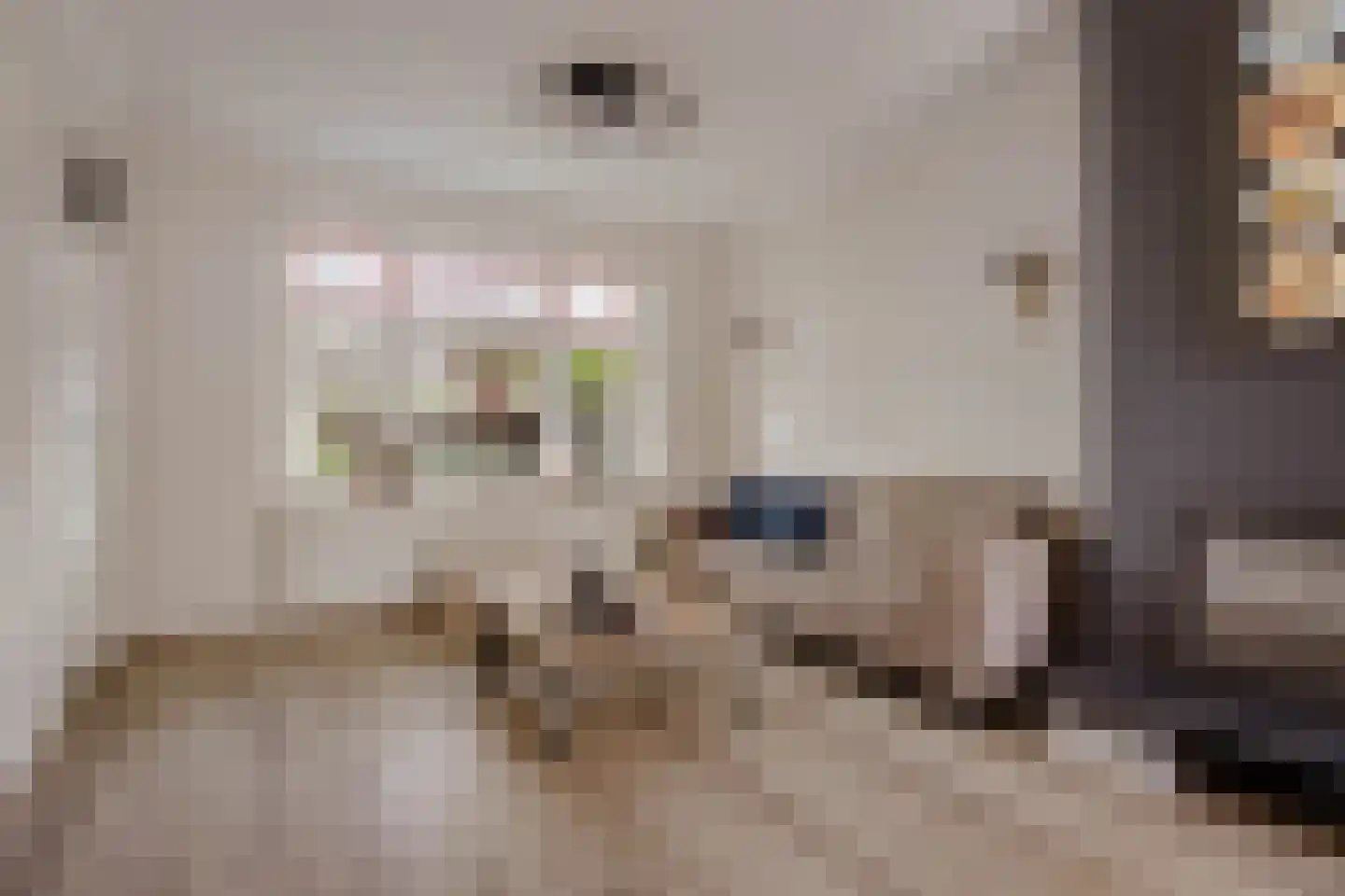 Dahliastraat 14 Huizen thumbnail 4