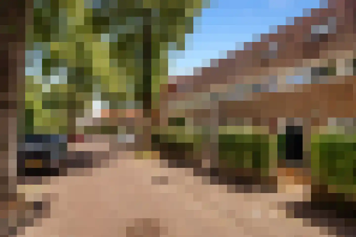 Dahliastraat 14 Huizen thumbnail 41