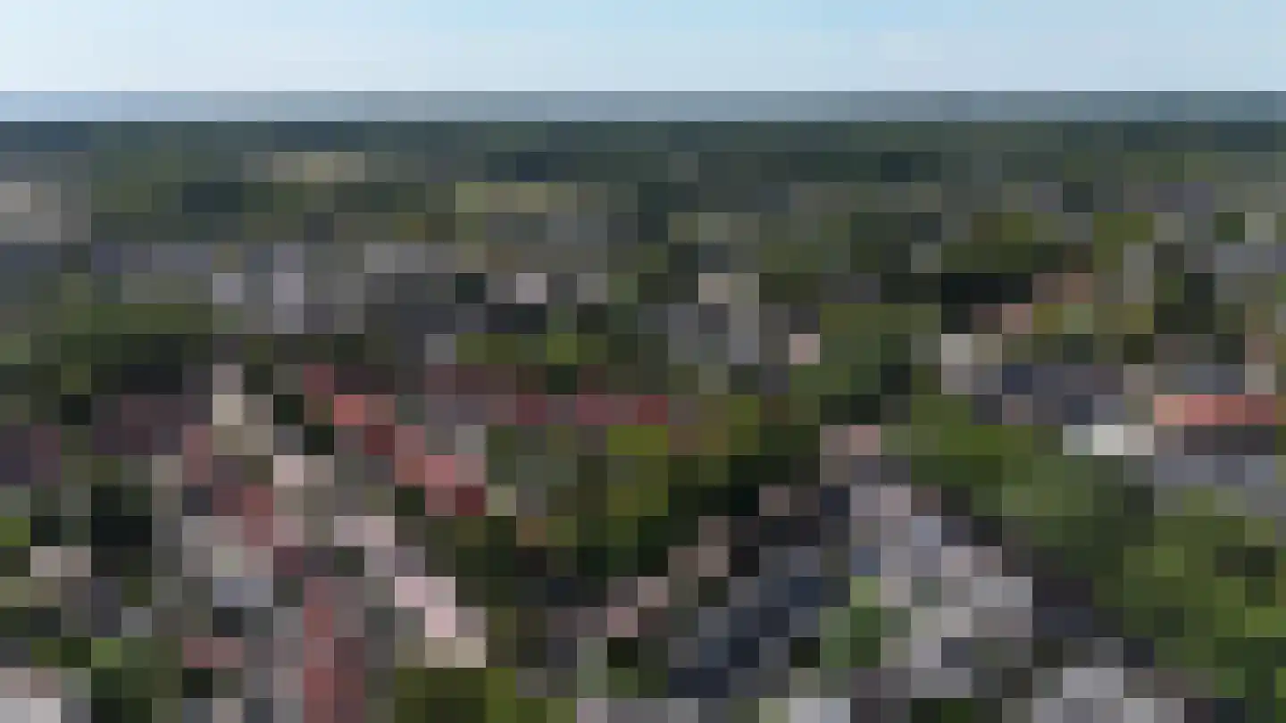 Dahliastraat 14 Huizen thumbnail 47
