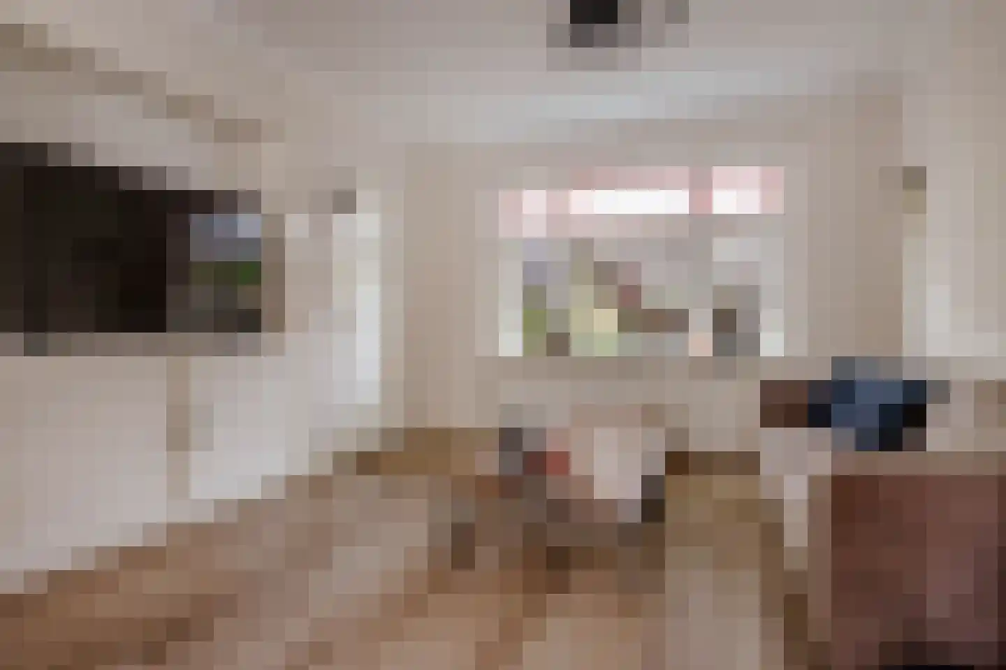 Dahliastraat 14 Huizen thumbnail 6