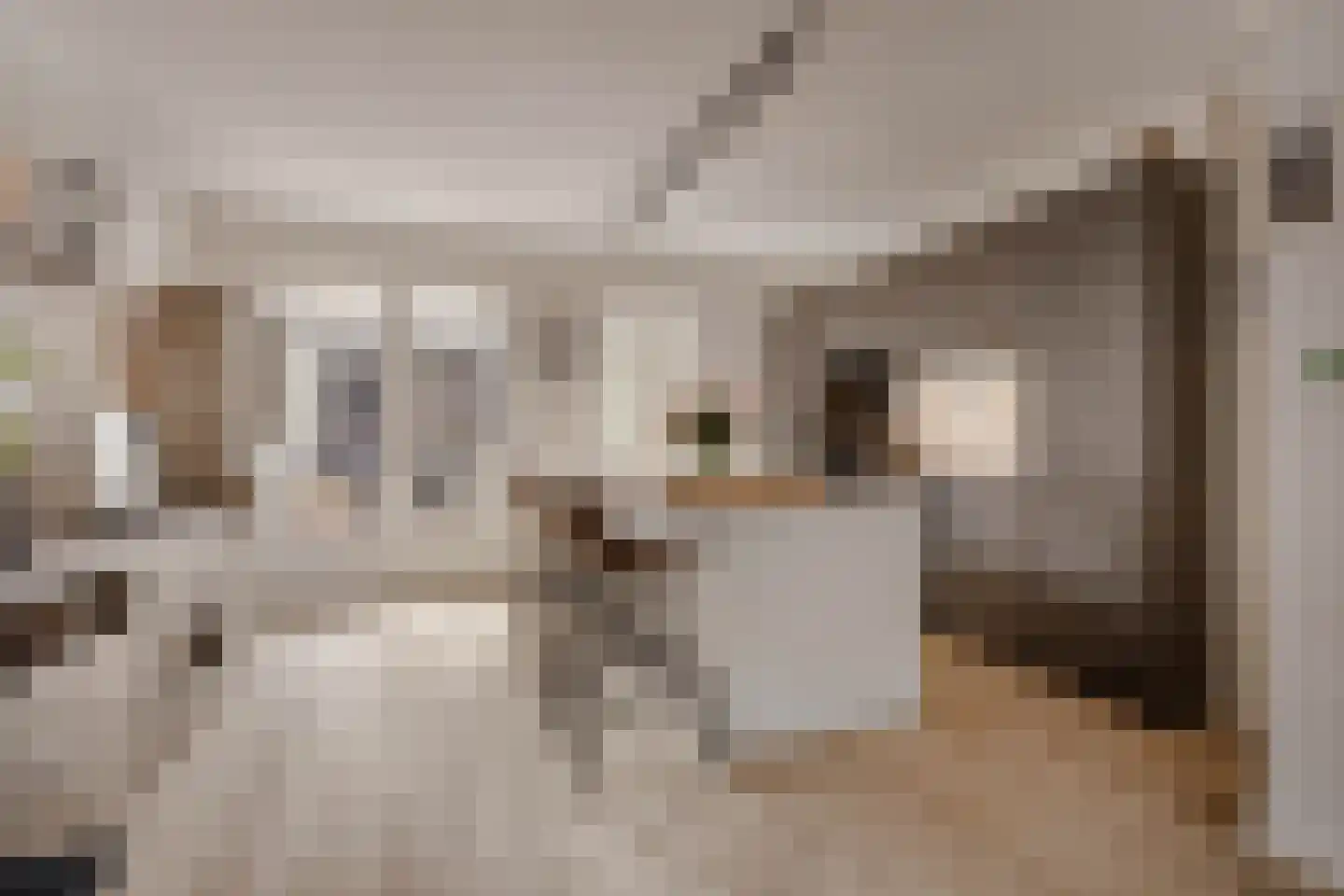 Dahliastraat 14 Huizen thumbnail 7