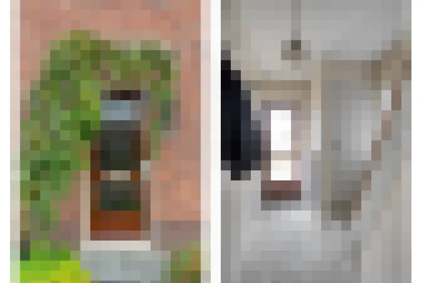 Dahliastraat 14 Raalte thumbnail 13