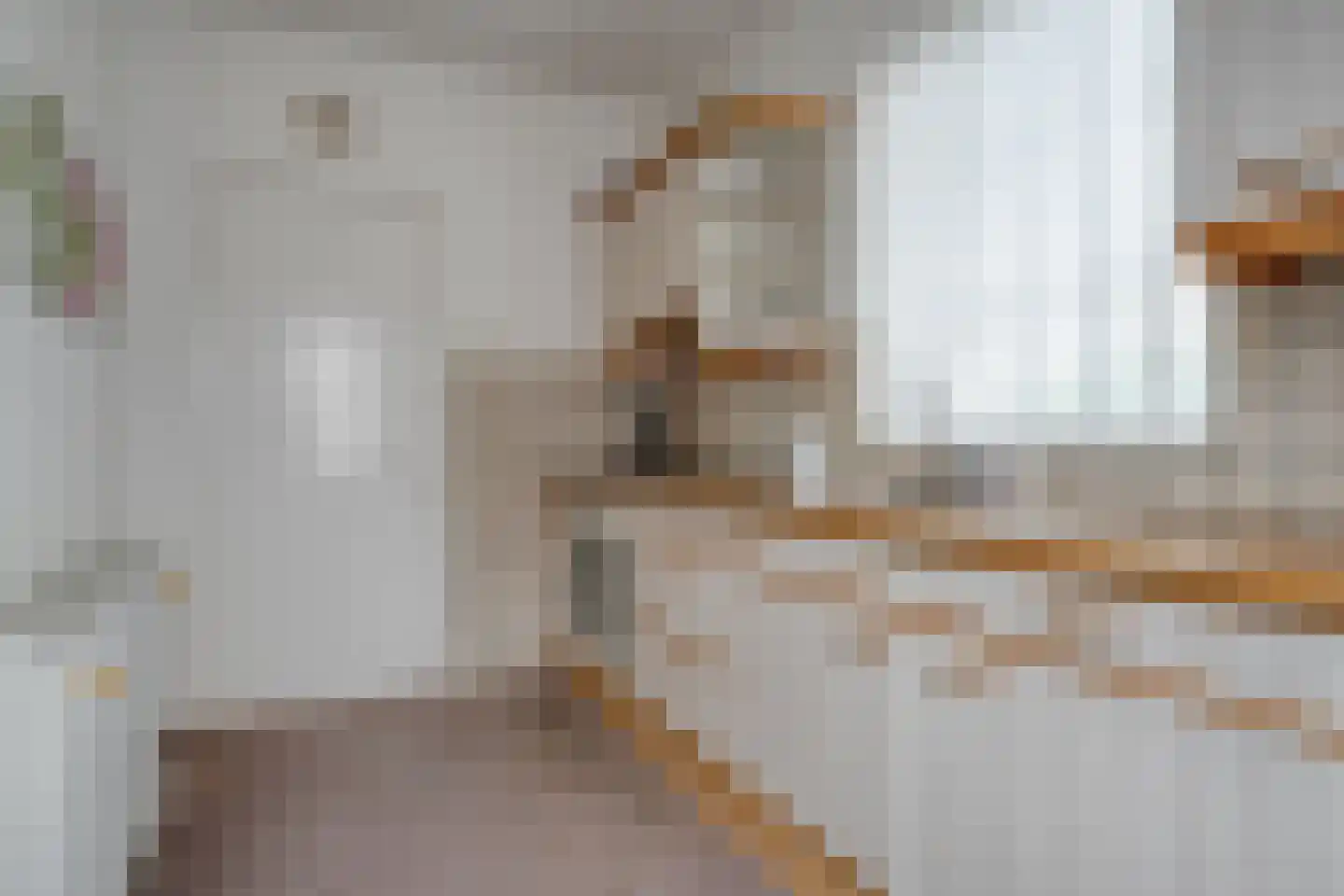 Dahliastraat 14 Raalte thumbnail 21