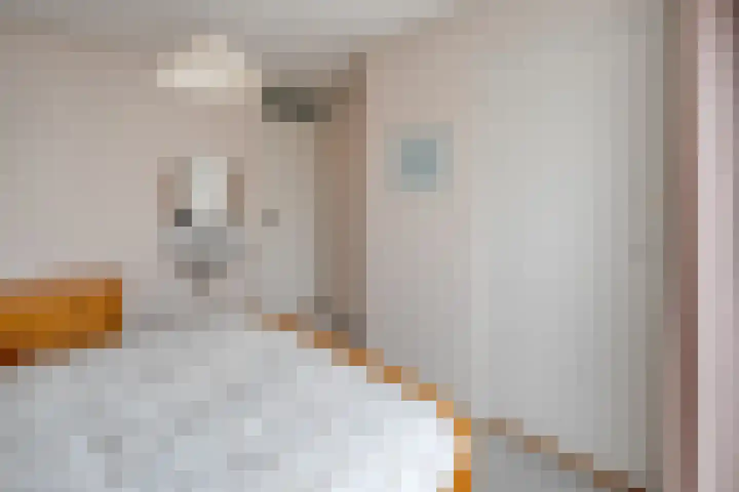 Dahliastraat 14 Raalte thumbnail 26
