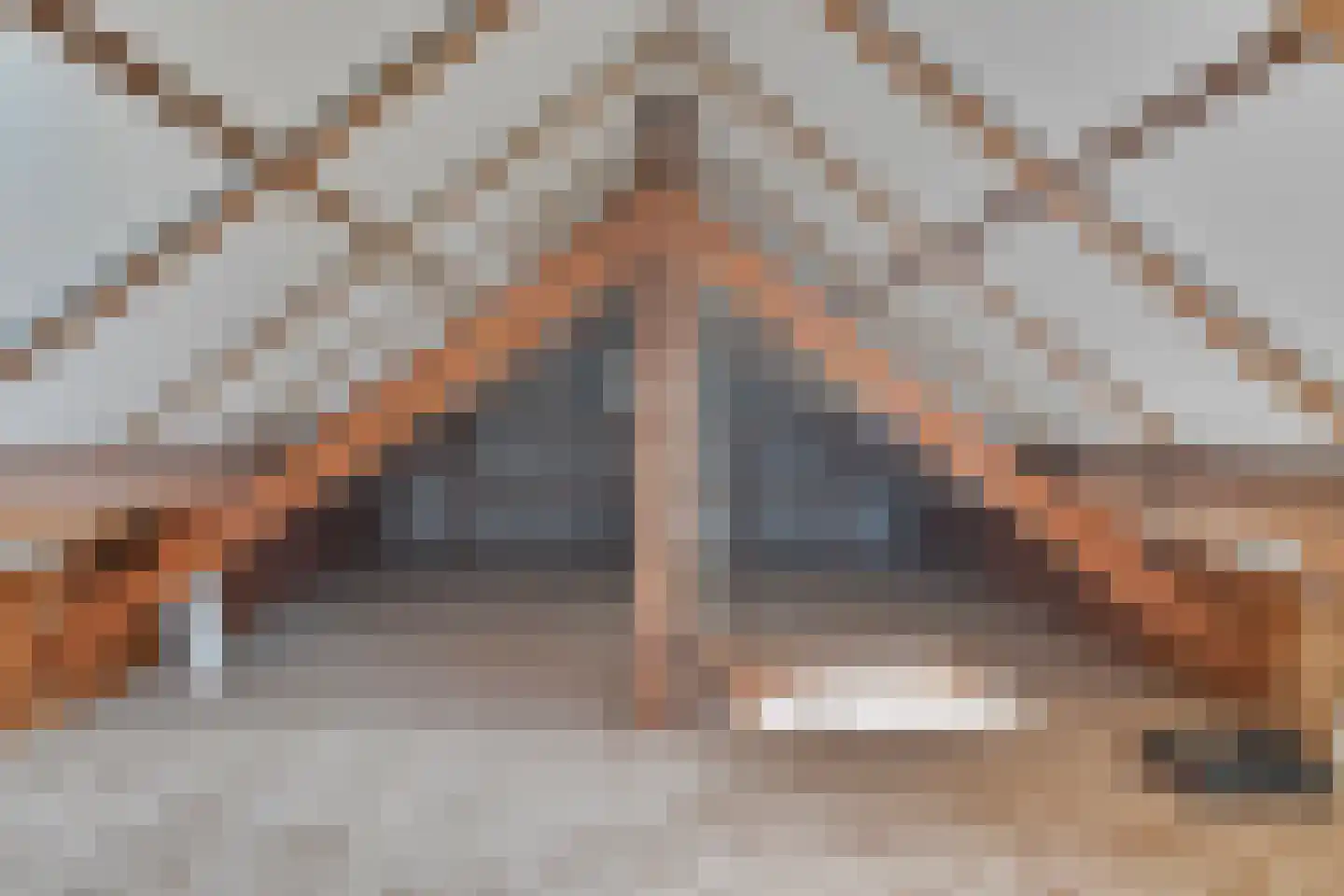 Dahliastraat 14 Raalte thumbnail 35