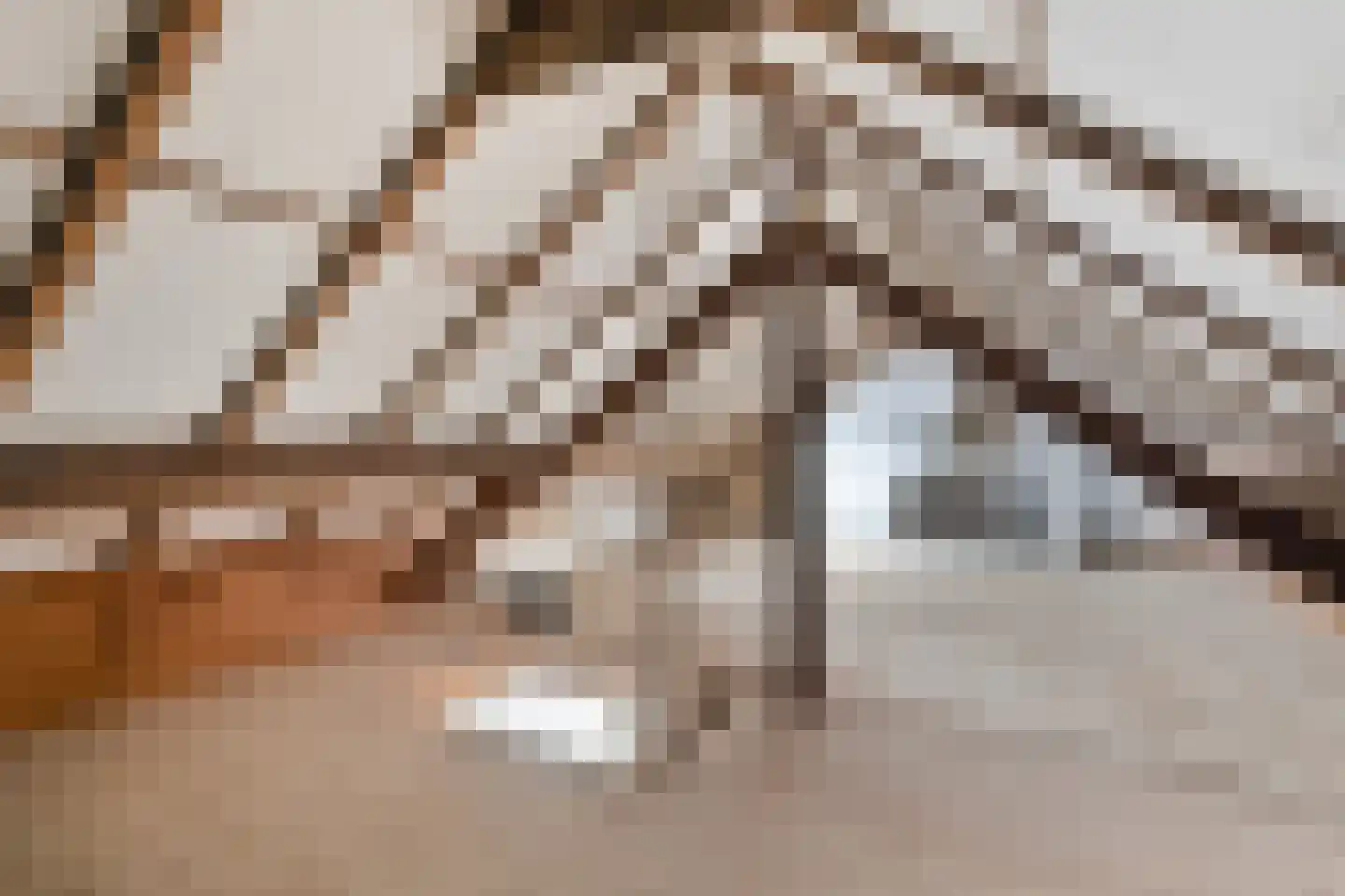 Dahliastraat 14 Raalte thumbnail 36