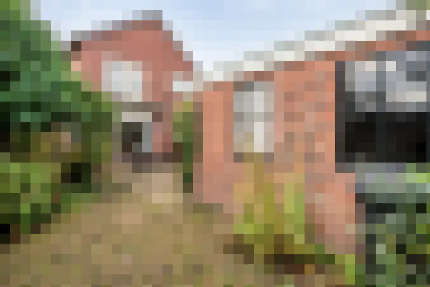 Dahliastraat 14 Raalte thumbnail 37