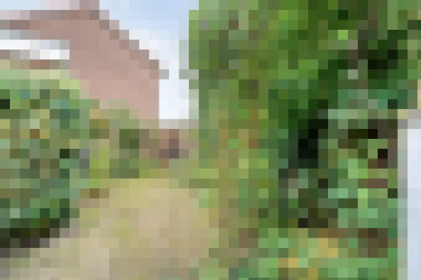 Dahliastraat 14 Raalte thumbnail 43